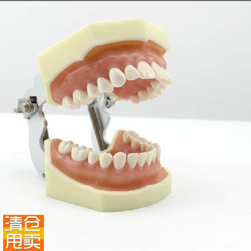 颐诺正品口腔修复模型齿科备牙体窝洞H制备排龈仿真离体牙执业考