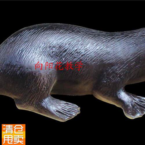 向阳花仿真鸭嘴兽模型教学动物S模型厂家直销