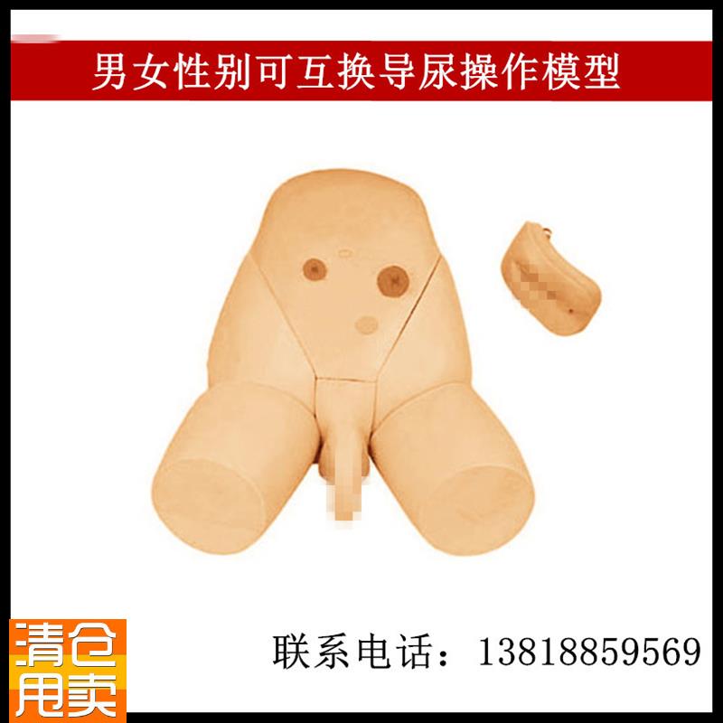 男女性别可互D换导尿操作模型