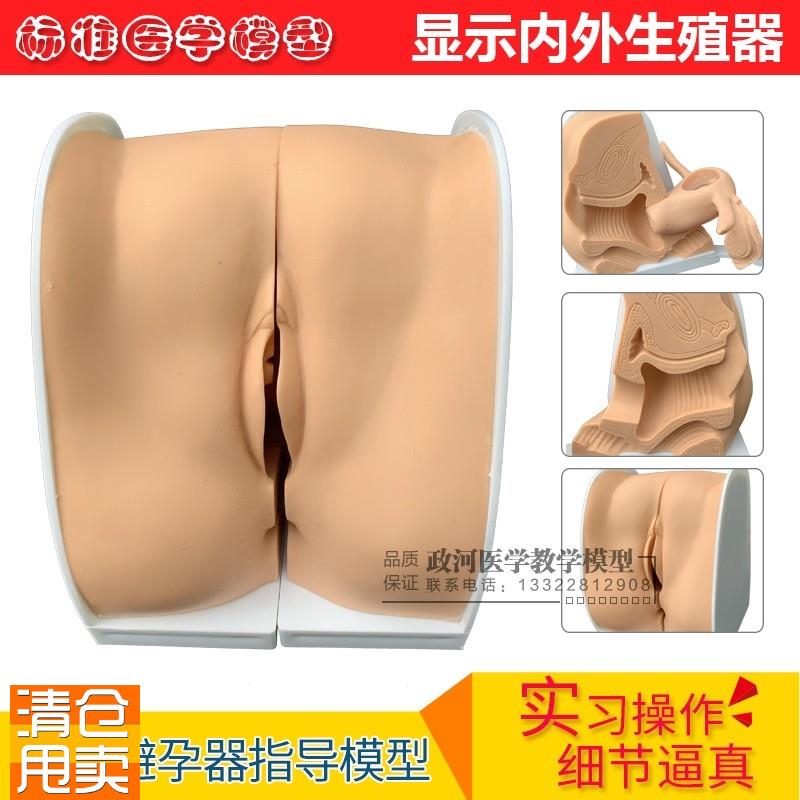 避孕指导模型/女性避孕模型/w计划生育专用/妇科检查模型/教学培