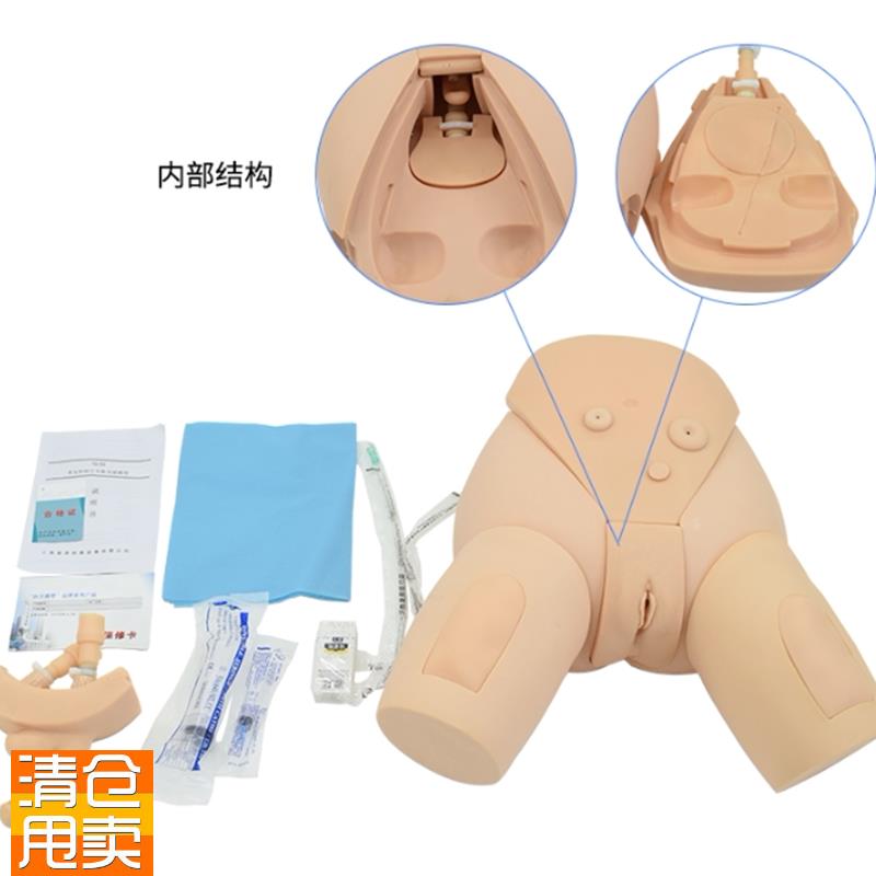 下半身导尿护理模型整体导尿培训模型男W女性导尿模型