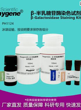 -半乳糖G苷酶染色试剂盒实科研验专用100TPH1124PHYGENE