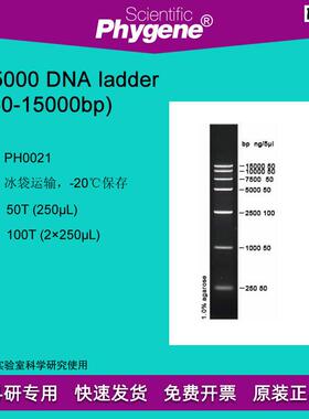 DNAladder(250-15000bp)100TDNAMarker[P.H0021PHYGENE]