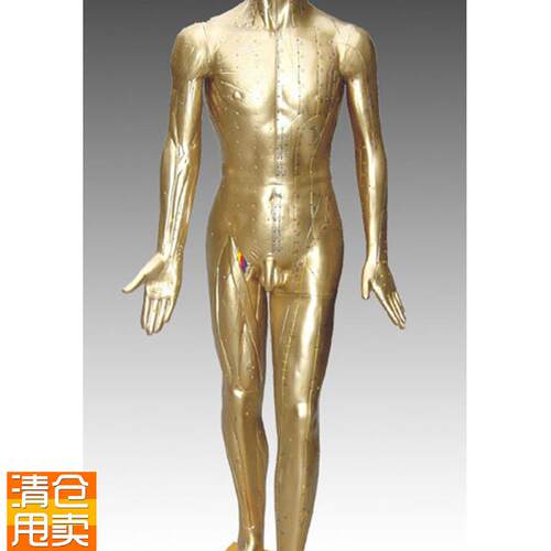中医标准人体针灸铜人84CM(青B铜色)练习假人经络模具穴位橡皮人