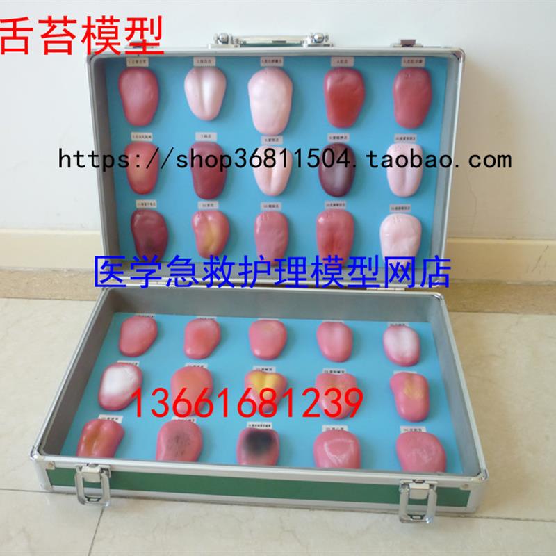 舌苔模型 舌苔病理模型 舌像模A型30件/套 舌苔症状对比模型