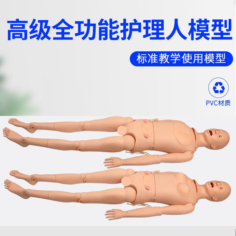 高级全功能护理人体模型男女导尿模型带内脏褥疮口鼻插.管吸痰洗