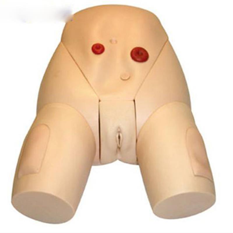 高级医学导尿器官实习练习模型女C性生殖器导尿培训模型训练模具