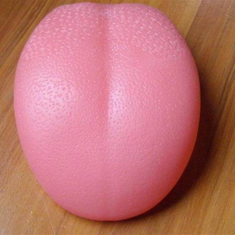 包邮人体舌头口q腔医用教学讲解模型人体标本,玩具/童车/益智/积木/模型,其他模型玩具,淘宝优惠券,粉丝福利购,淘宝优惠卷