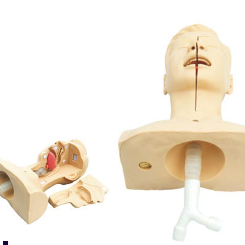高级吸痰练习g模型鼻腔口腔插管吸引训练模型医学用操作教学模型