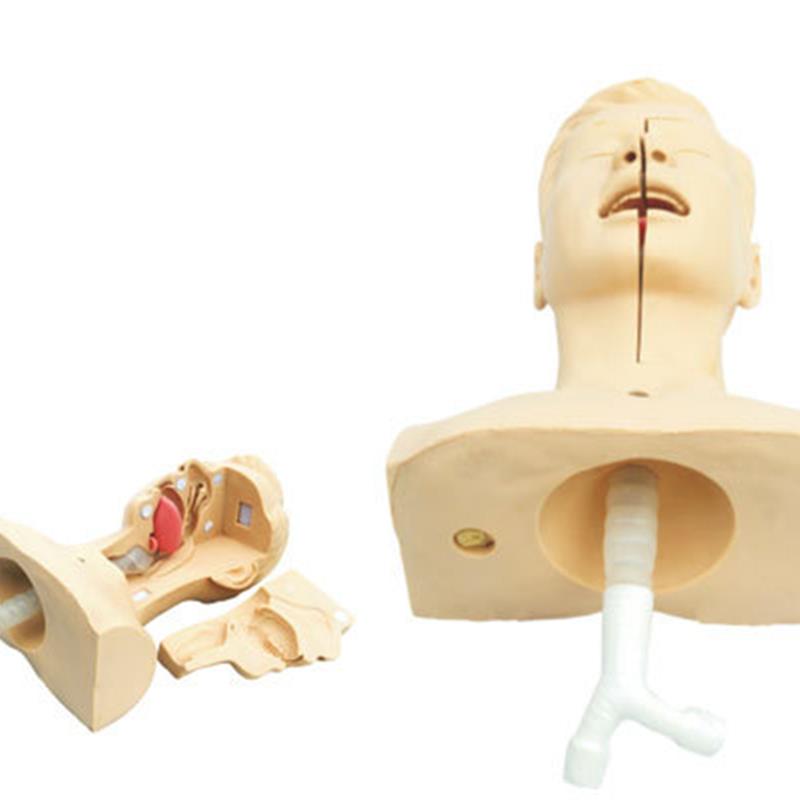 高级吸痰练习模型 鼻腔口腔插管吸B引训练模型 医学用操作教学模