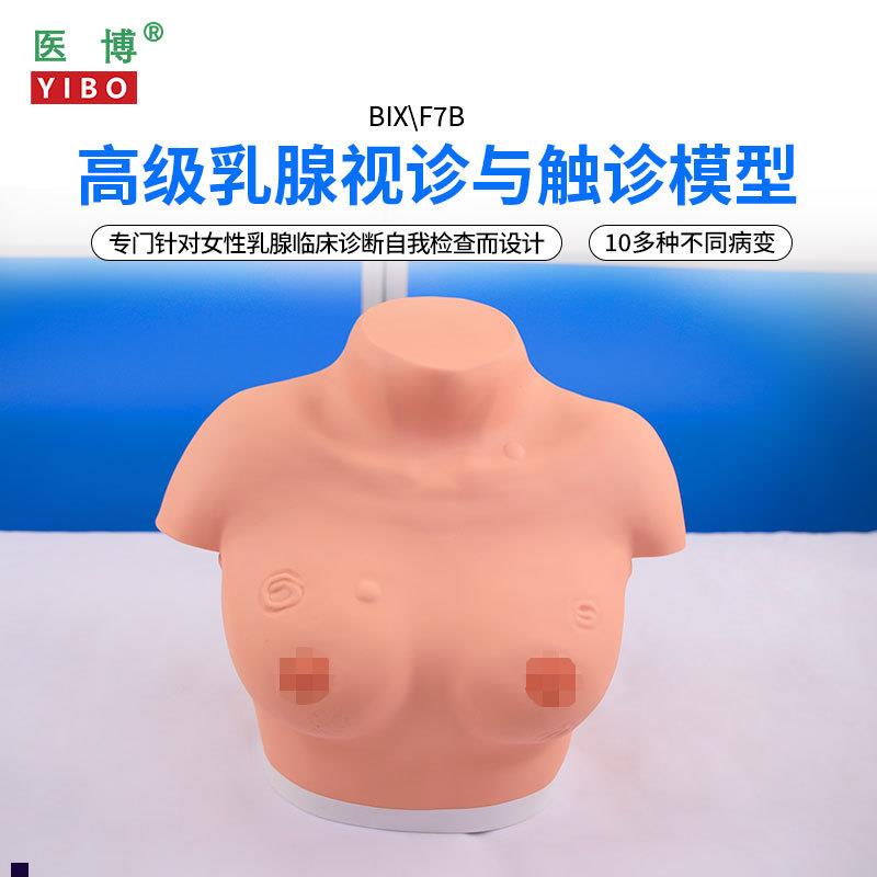 医博BIX-F7B高级乳腺视诊与触诊模型乳房检查模型O乳房乳腺病变检