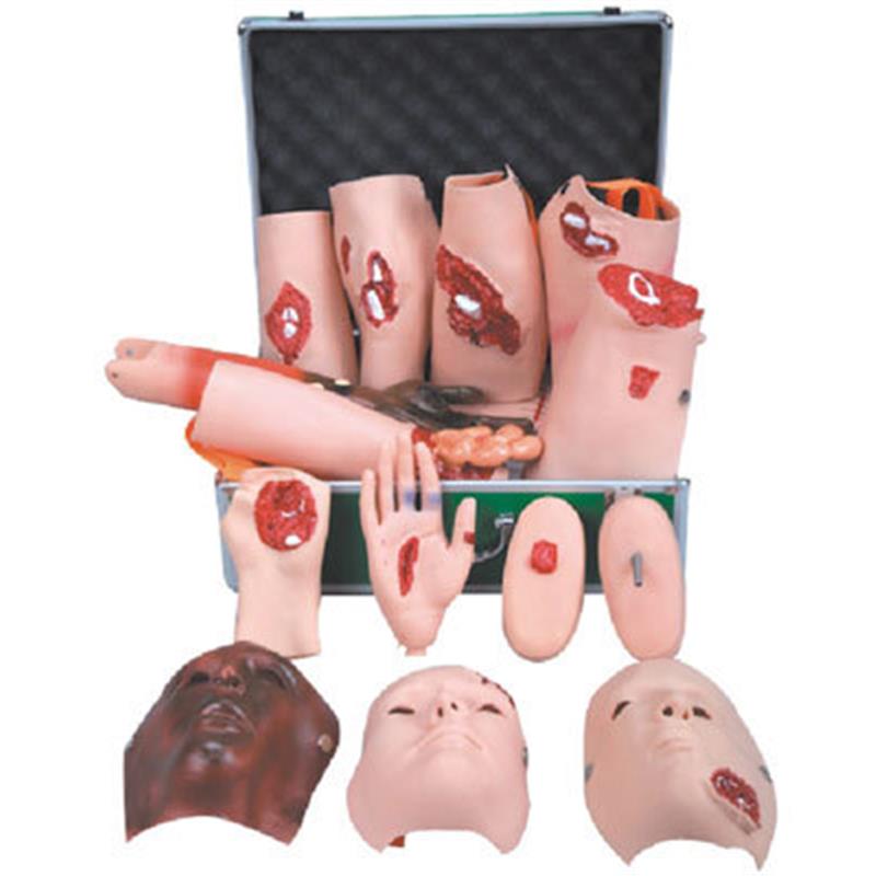 高级创伤护o理训练评估模块模型