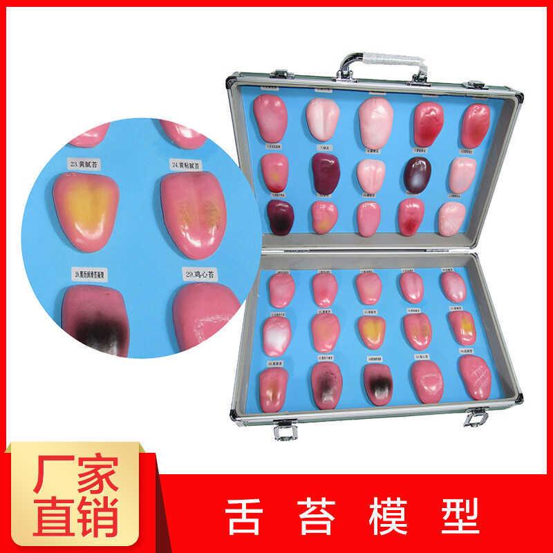 人体舌头舌苔模型常见q病舌苔病变比较中医口腔望诊教学解剖模型