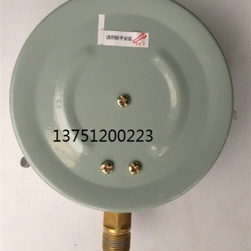 中国红旗Y-200  Y-250 压力表 锅炉压力表 水压表 螺