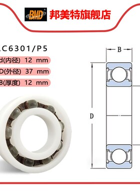 瑞典BMD进口工业塑料无磁轴承AC6300 6301 6302 6303 6304 6305P5