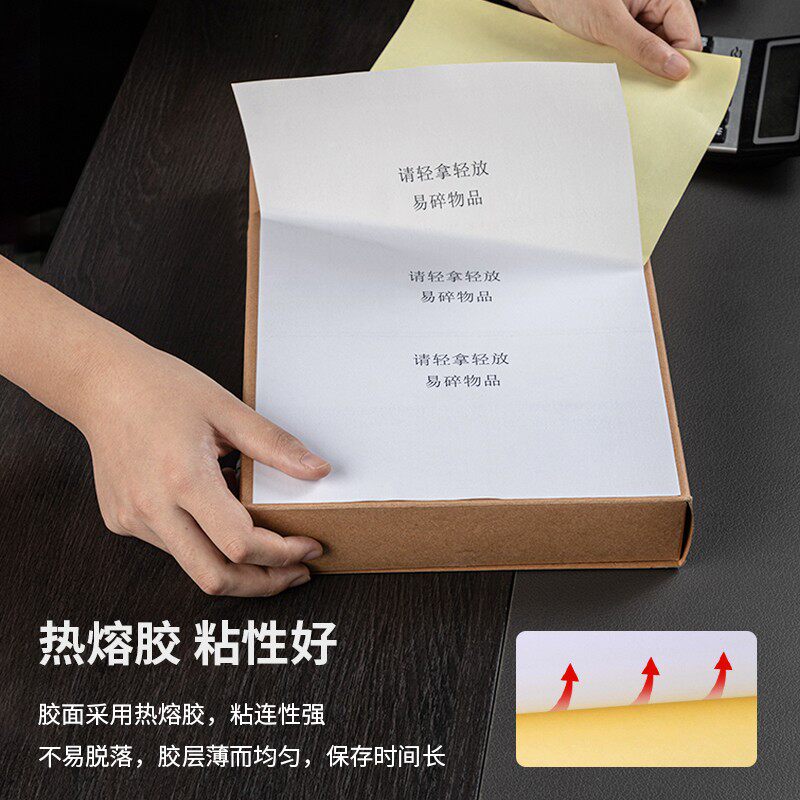 得力（deli）不干胶标签贴纸/打印贴纸铜版纸/牛皮纸80张/包210*2