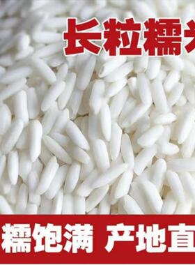 2025年湖北孝感珍珠糯米新糯米长粒江米包粽子做米酒糍粑5斤10斤
