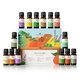 Lavender Therapy Top Eucalyptus Singles Plant Set