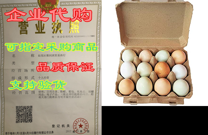 vintage blank egg cartons- classic 3x4 style holds 12 lar