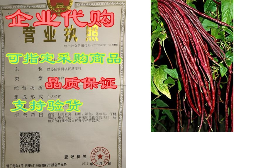 red noodle yard long beans 25  seeds