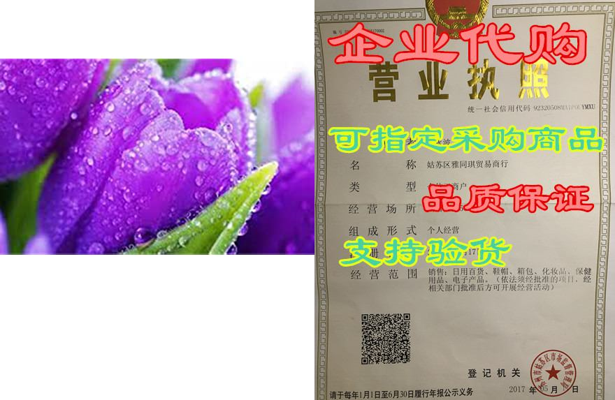 tulip bulb, 5 pack, purple prince, regal purple perennial