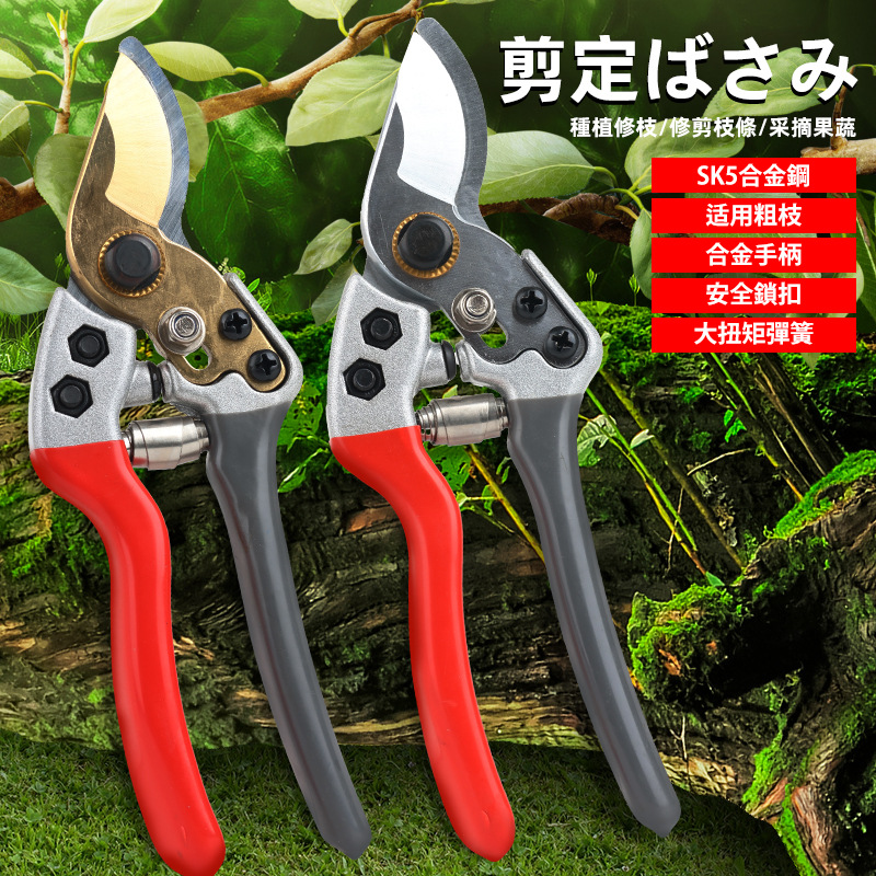 日本品质高硬度修枝剪果树桑花卉园艺剪子园林粗枝条家用修剪树枝