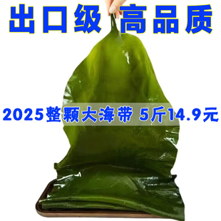 新鲜整颗大海带包饭荣成昆布嫩海带头盐渍火锅麻辣烫食材凉拌菜
