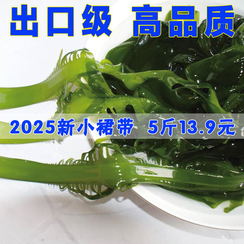小裙带菜整棵新鲜盐渍