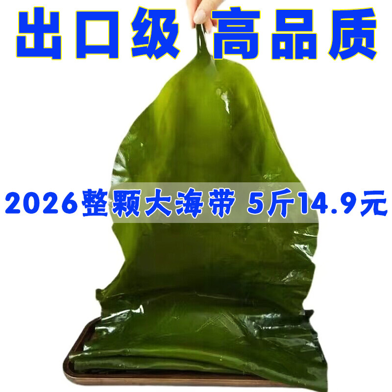 新鲜整颗大海带包饭荣成昆布嫩海带头盐渍火锅麻辣烫食材凉拌菜