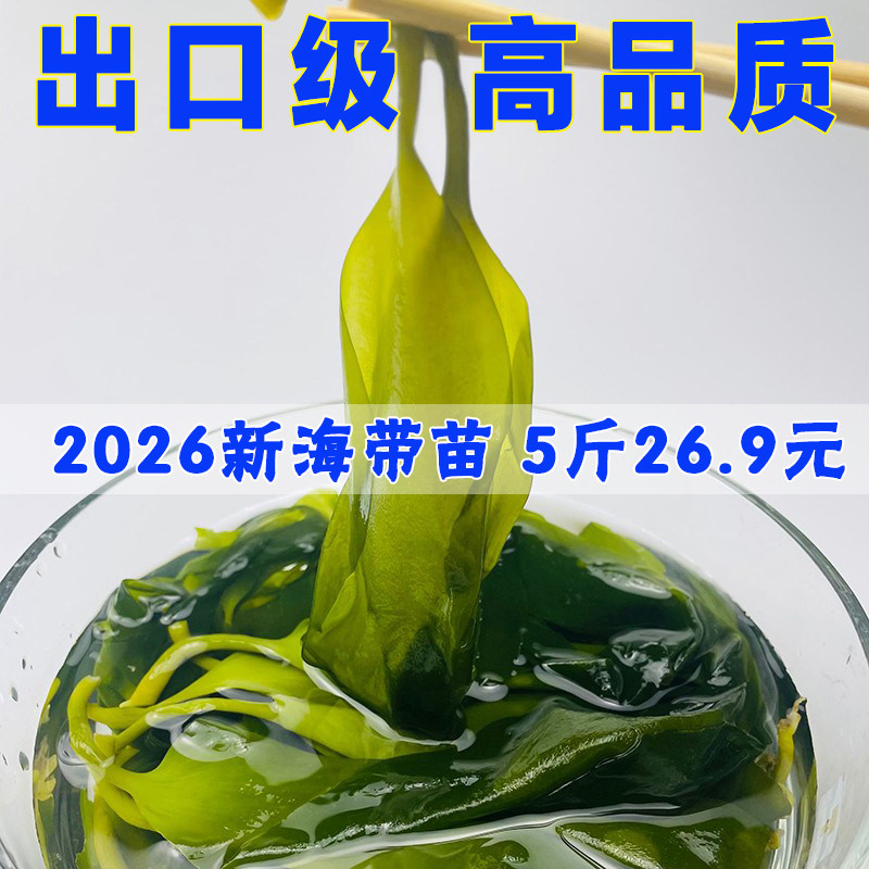 盐渍海带苗荣成5斤新鲜海带苗小苗火锅凉拌做汤半干嫩苗小海带芽