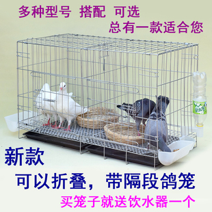 鴿子籠養(yǎng)殖籠鴿子專用配對籠籠子新型大號繁殖鴿籠 鴿子籠家用 包郵