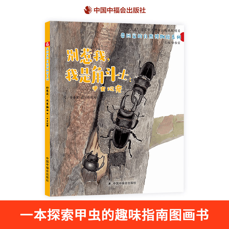 学会观察甲虫别惹我，我是角斗士