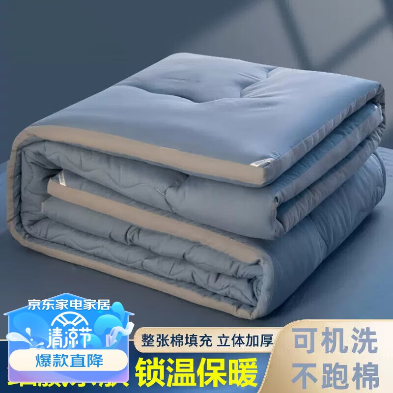艾薇羽丝绒被冬被春秋被芯冬天加厚保暖家用棉被空调被褥被子冬季