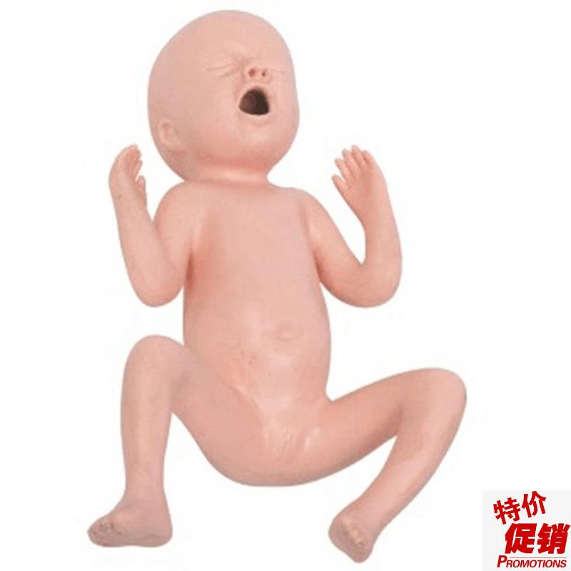 24周早产儿护理q模型初生儿早产儿模型出生婴儿模型