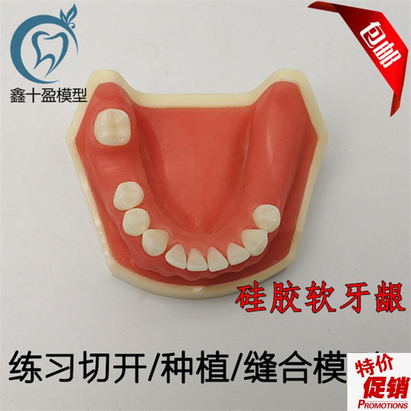 牙科口腔种植练习模型学生s练习切B开缝合种植模型下颌种植2029下
