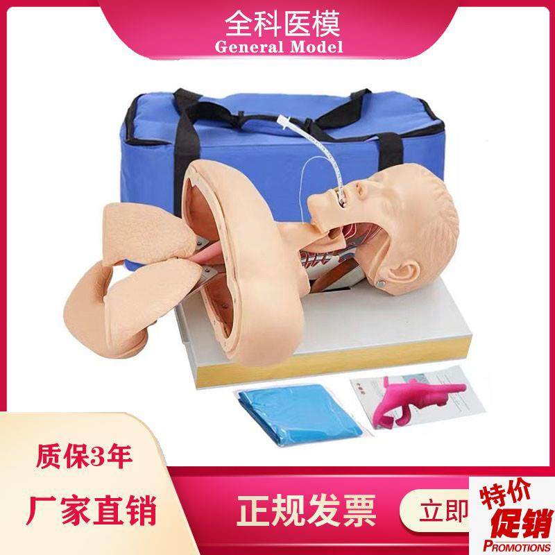 GM/J50高级人n体气管插管训练模型成人口鼻气道管理急救模具,文具电教/文化用品/商务用品,模拟人,淘宝优惠券,粉丝福利购,淘宝优惠卷