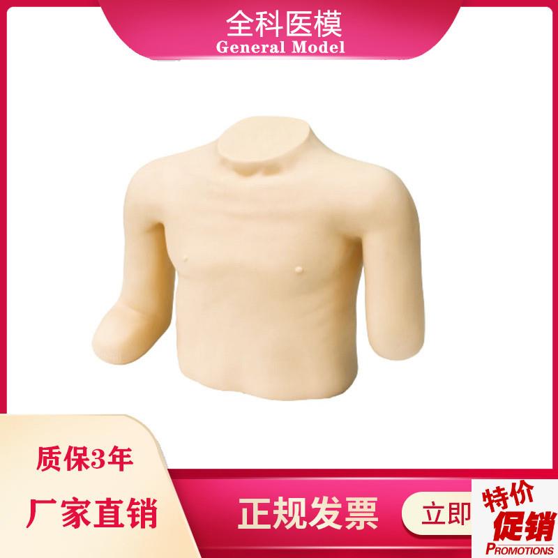 高级高位包扎模型头m颈胸部上肢截肢手臂训练模具骨折固定操作LV1