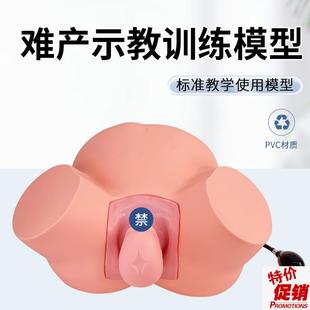 高级难产a示教训练模型分娩示教模型妇产科难产助产分娩教学模型