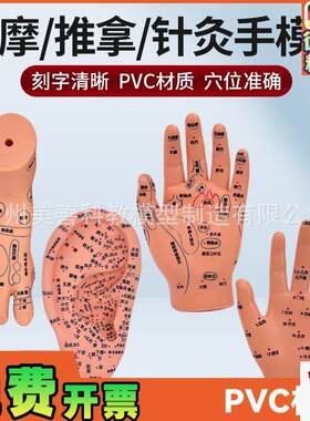 刻字清晰耳穴模h型足穴模型穴位手模型耳按摩手模型针灸耳16厘米