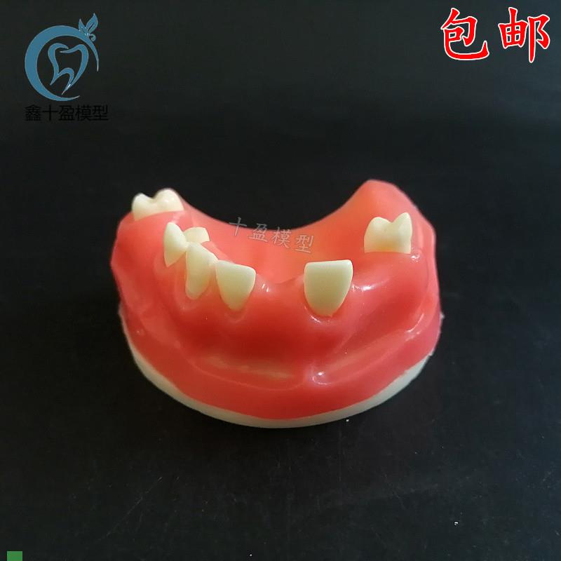 牙科材料红色上颌种o植模型可练习切开缝合排龈教学模型软硅胶