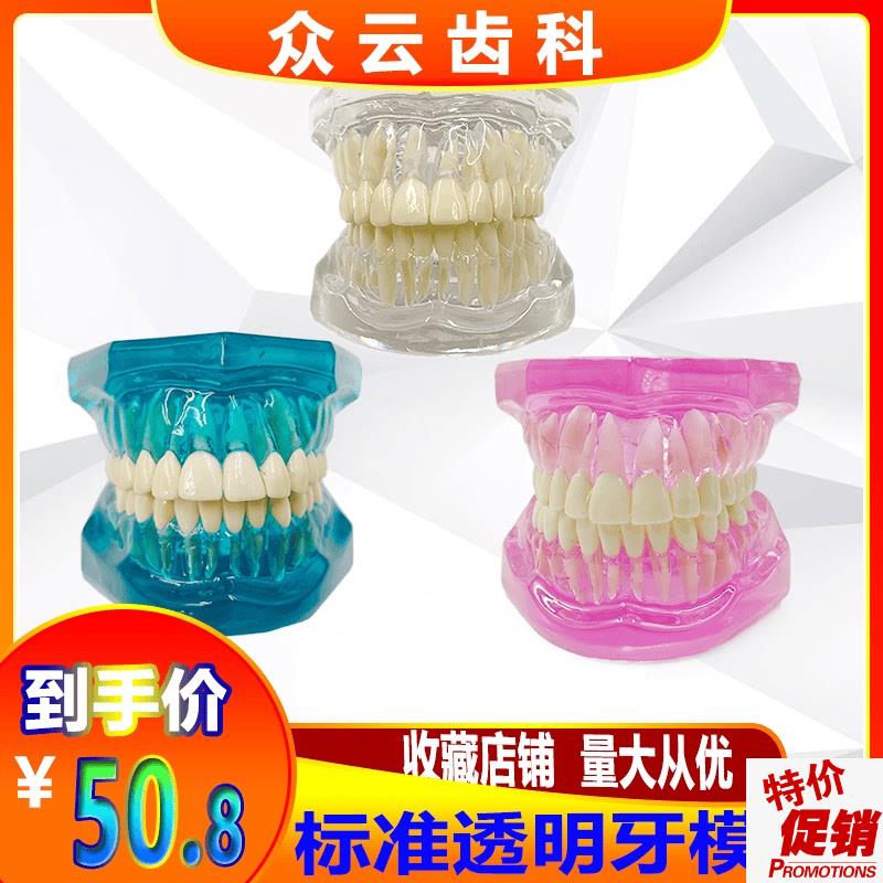 牙科口腔教学模型标m准牙齿透明水晶模型全口28颗假牙模牙不可拆