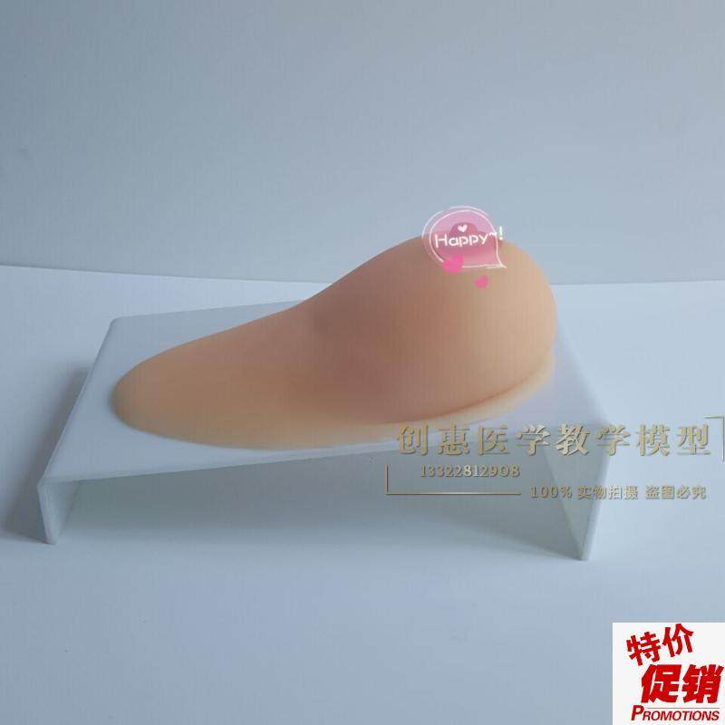 女性乳房模型催乳师n培训道具哺乳教学模型硅胶假乳房医学教具,玩具/童车/益智/积木/模型,其他模型玩具,淘宝优惠券,粉丝福利购,淘宝优惠卷