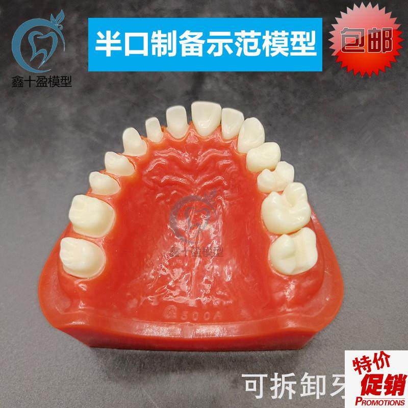 牙科半口烤瓷制备示范模型上颌练z习预备备牙模型可替换牙齿M802