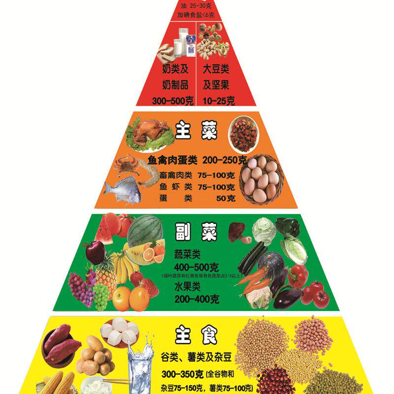 哺乳期妇女膳食宝l塔模型孕妇膳食宝塔模型乳母产妇膳食指导模型