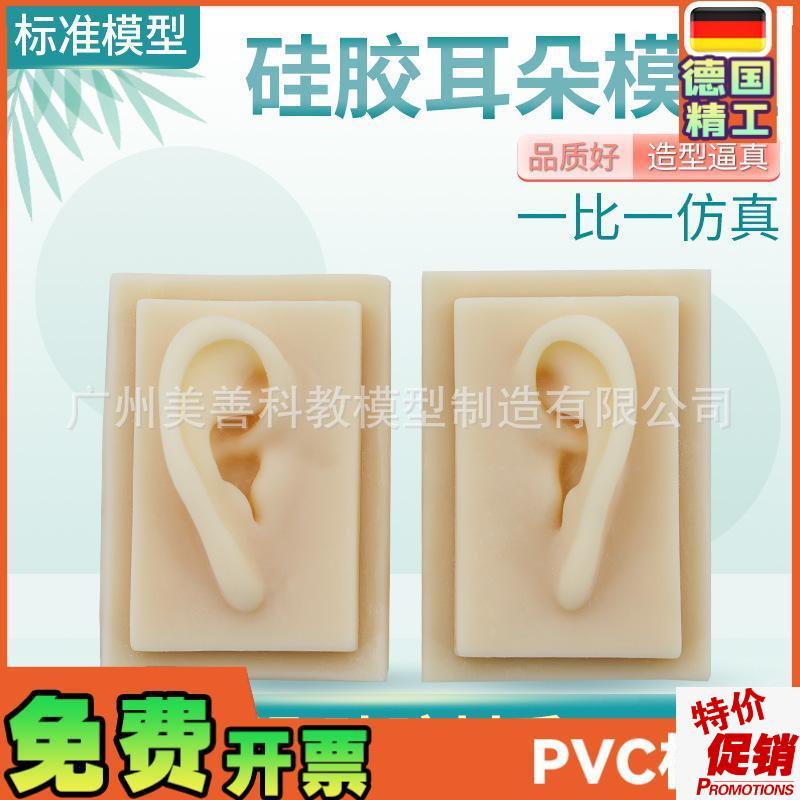 成人11仿真耳朵模n型人体耳朵耳膜型硅胶针灸耳朵(右耳)