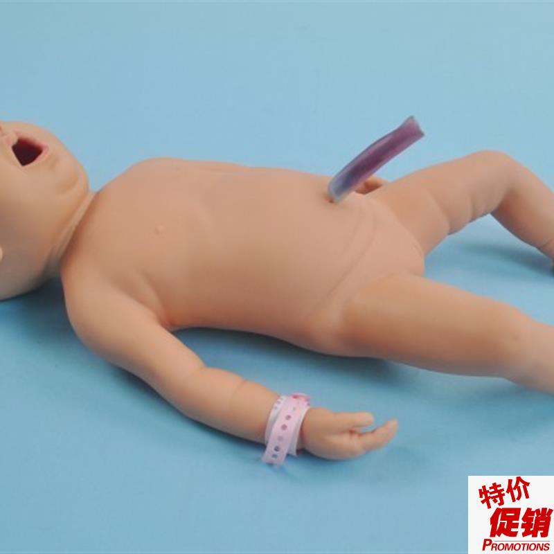 新生儿脐带血采集模型