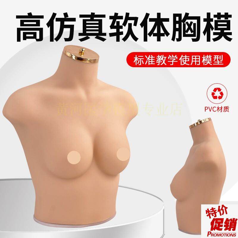 75B/C罩杯内衣模特女胸模软体模特道具仿真人模特内.衣展示模特