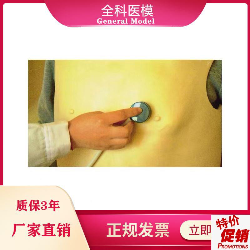 心肺听诊训练模型背心式临床y病理性心音肺音体格检查练习模具假