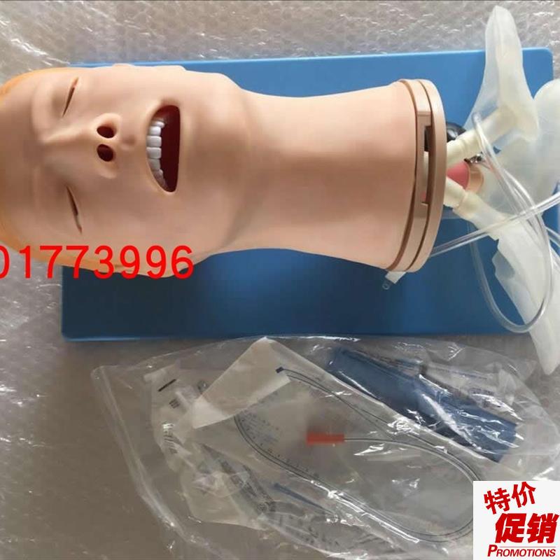 多功能气道管理模型气管插管训练模型颈动脉搏动R成人气道插管模