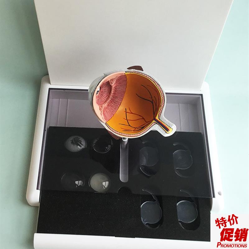 眼睛模型晶片虹i膜器官解剖白内障光学教仪医用医学教学教具